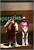 QH061_0468n.jpg(34,3 KB)
