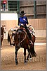 QH061_0469n.jpg(36,1 KB)