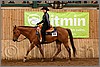 QH061_0479n.jpg(41,3 KB)