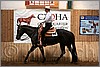 QH061_0482n.jpg(42,8 KB)
