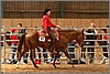 QH061_0486n.jpg(43,8 KB)