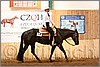 QH061_0489n.jpg(41,8 KB)