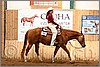 QH061_0490n.jpg(42,5 KB)