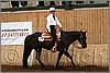 QH061_0491n.jpg(41,1 KB)