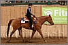 QH061_0493n.jpg(37,0 KB)