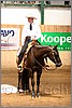 QH061_0496n.jpg(39,1 KB)