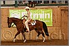 QH061_0510n.jpg(41,8 KB)