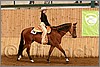 QH061_0517n.jpg(40,6 KB)