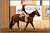 QH061_0519n.jpg(41,2 KB)
