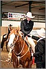 QH061_0537n.jpg(39,4 KB)