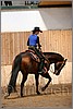 QH061_0547n.jpg(34,7 KB)