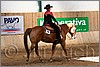 QH061_0567n.jpg(38,9 KB)