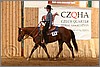QH061_0569n.jpg(41,7 KB)