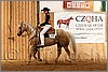 QH061_0570n.jpg(43,0 KB)