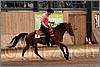 QH061_0607n.jpg(37,2 KB)