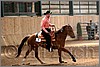 QH061_0611n.jpg(36,1 KB)