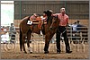 QH061_0616n.jpg(36,2 KB)