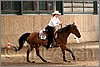 QH061_0628n.jpg(35,2 KB)