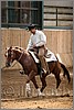 QH061_0637n.jpg(37,4 KB)