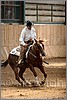 QH061_0639n.jpg(36,7 KB)