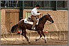 QH061_0646n.jpg(36,8 KB)