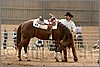 QH061_0654n.jpg(36,0 KB)