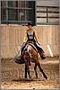 QH061_0658n.jpg(37,7 KB)