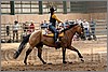 QH061_0665n.jpg(42,1 KB)