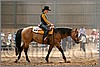QH061_0669n.jpg(35,2 KB)