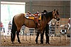 QH061_0670n.jpg(34,5 KB)