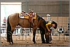QH061_0671n.jpg(35,2 KB)