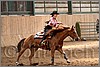 QH061_0677n.jpg(37,5 KB)