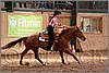 QH061_0680n.jpg(38,1 KB)