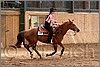 QH061_0681n.jpg(36,6 KB)