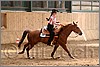 QH061_0682n.jpg(36,0 KB)