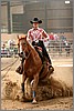 QH061_0689n.jpg(36,9 KB)
