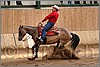 QH061_0708n.jpg(41,2 KB)