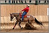 QH061_0710n.jpg(42,8 KB)