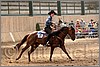 QH061_0721n.jpg(40,5 KB)