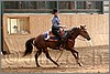 QH061_0725n.jpg(36,5 KB)