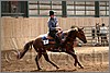 QH061_0726n.jpg(36,9 KB)