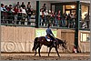 QH061_0729n.jpg(46,2 KB)