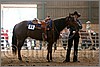 QH061_0731n.jpg(35,3 KB)