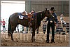 QH061_0732n.jpg(36,3 KB)