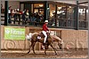 QH061_0743n.jpg(44,6 KB)