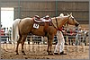 QH061_0744n.jpg(38,4 KB)