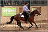 QH061_0749n.jpg(36,6 KB)