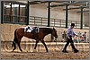 QH061_0754n.jpg(43,0 KB)