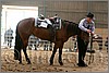 QH061_0755n.jpg(37,3 KB)