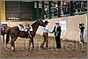 QH061_0758n.jpg(44,3 KB)